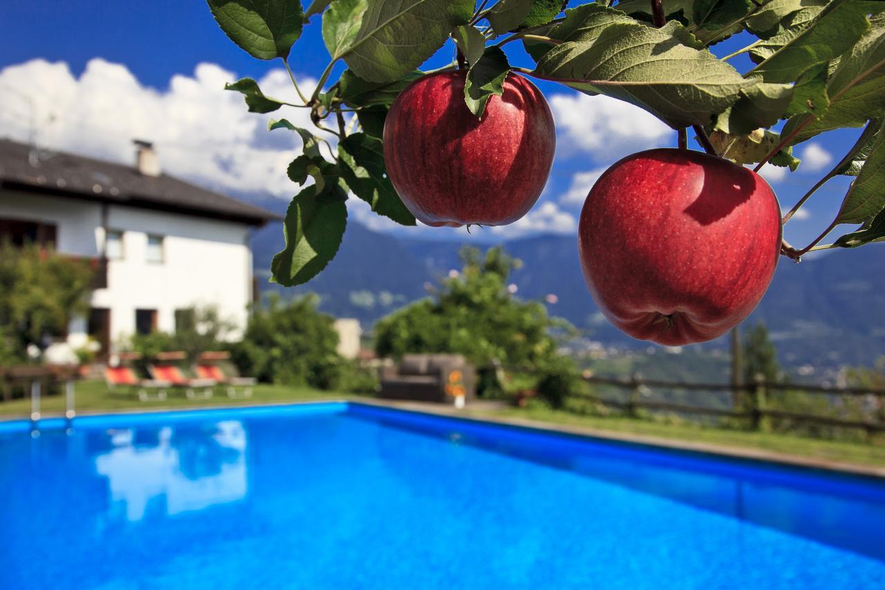 Garni Oberanger Otel Tirolo Dış mekan fotoğraf