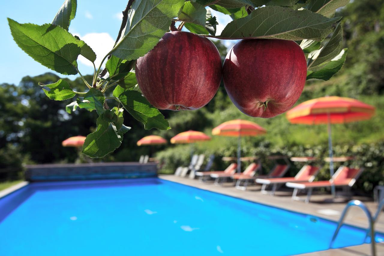 Garni Oberanger Otel Tirolo Dış mekan fotoğraf